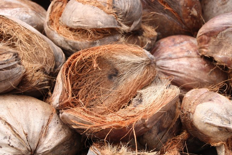 coir husks_2